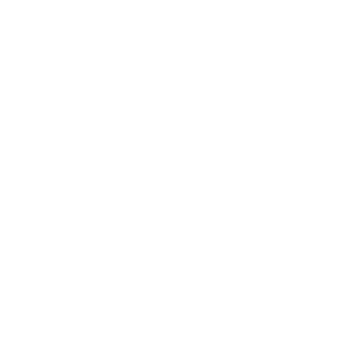 Ongoing Support & Professional Community